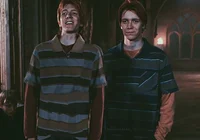 Gemelos weasley