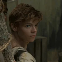 Newt 