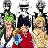 Zoro Luffy Sanji 