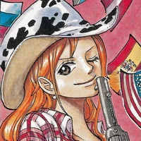 Outlaw Nami
