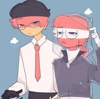 Germany N Austria CH