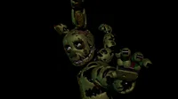 Spring trap
