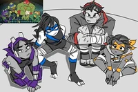 ROTTMNT Battle Nexus