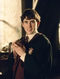 Neville longbottom