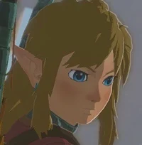 Link Totk