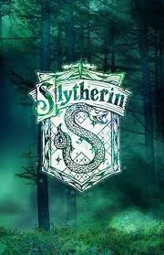 Slytherin boys