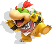 Bowser Koopa Junior