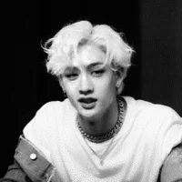 Bang Chan 