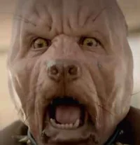 Evil dog Human