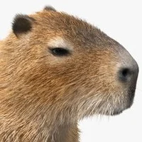 Capybara Egghatch