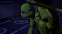 Donatello Hamato