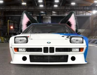 BMW M1 ProCar cat