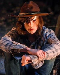 Carl grimes 