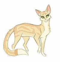 The very odd therian