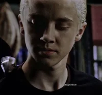 Draco Lucius Malfoy