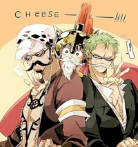 Law Zoro y Luffy