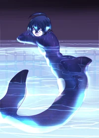 Orca shuichi