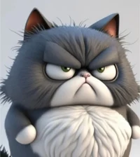 Gato enojado 