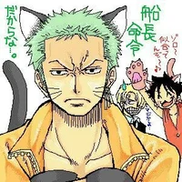 Catman Zoro