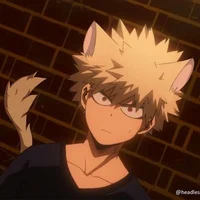 Neko Bakugo