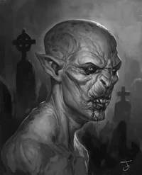 O terror de uma vila