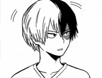 Shoto Todoroki 