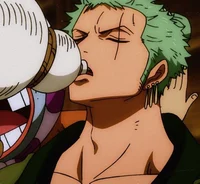 Roronoa Zoro
