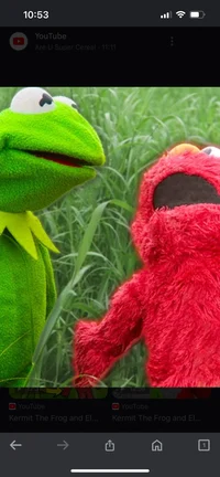 Elmo and kermit