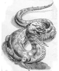 Tualleiaght from DnD