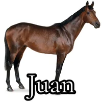 Juan