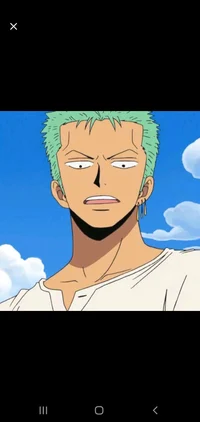 Roronoa Zoro 