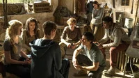 The maze runner