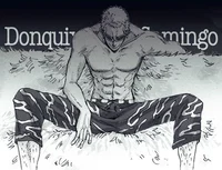 1OP Doflamingo