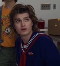 Steve Harrington 