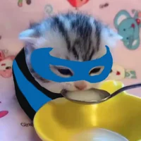 Kitten Nightwing