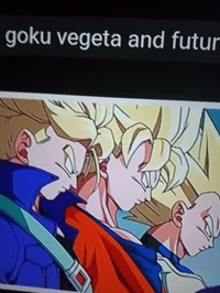 Goku Vegeta and trun