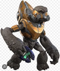 Halo Grunt