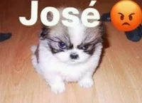 Jose 