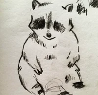 Trash Panda