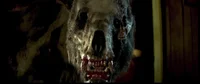 The Refracted Bear