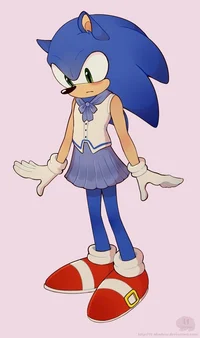 sonic student