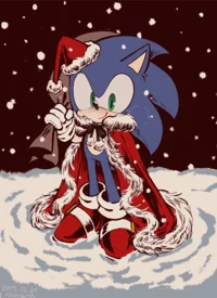 Sonic -Mistletoe- 