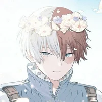 Shoto Todoroki