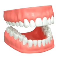 Dentures