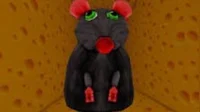 rat