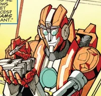 Rung