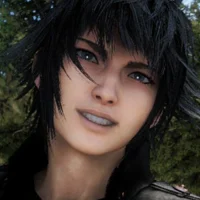 Noctis Lucis Caelum