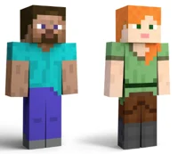 Minecraft Friend