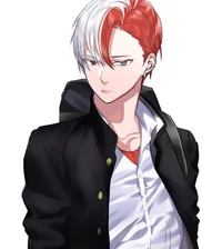 Shoto todoroki 