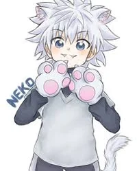 Cat killua zoldyck